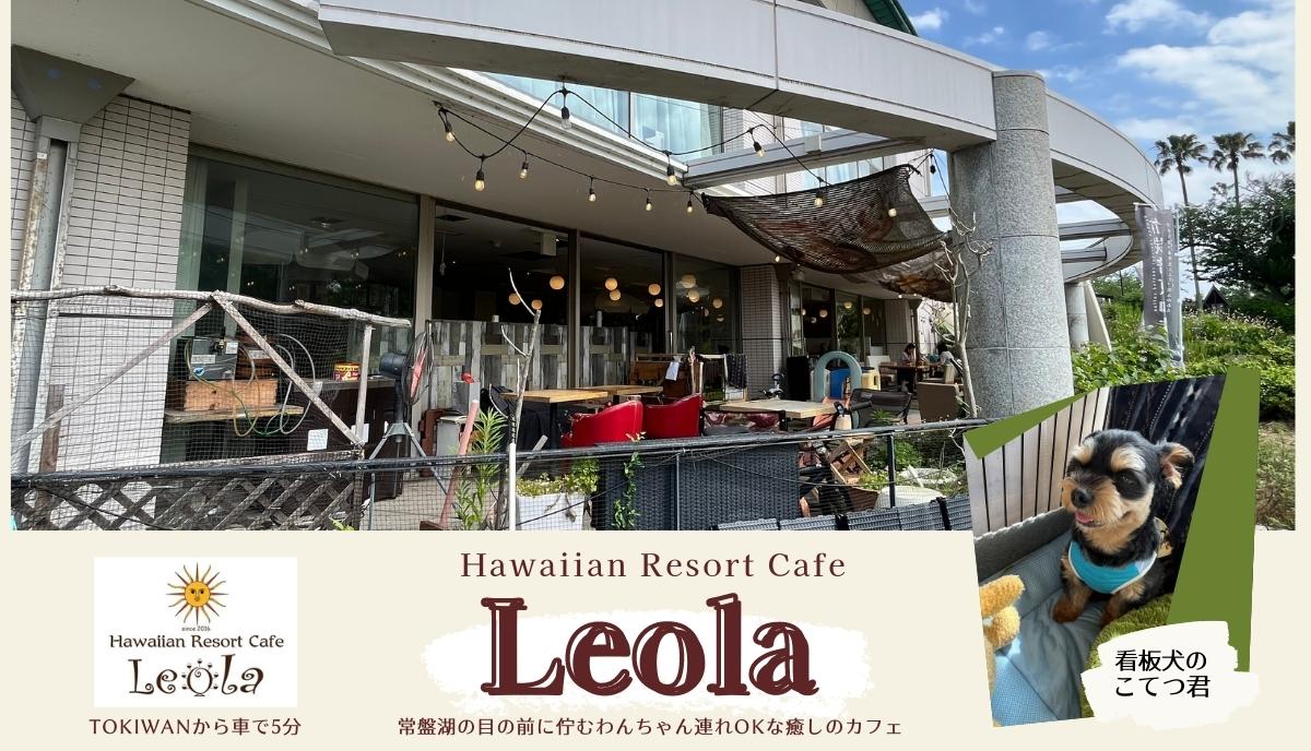 ときわ湖畔に佇む “わんちゃん連れOK” な Hawaiian Resort Cafe「Leola」