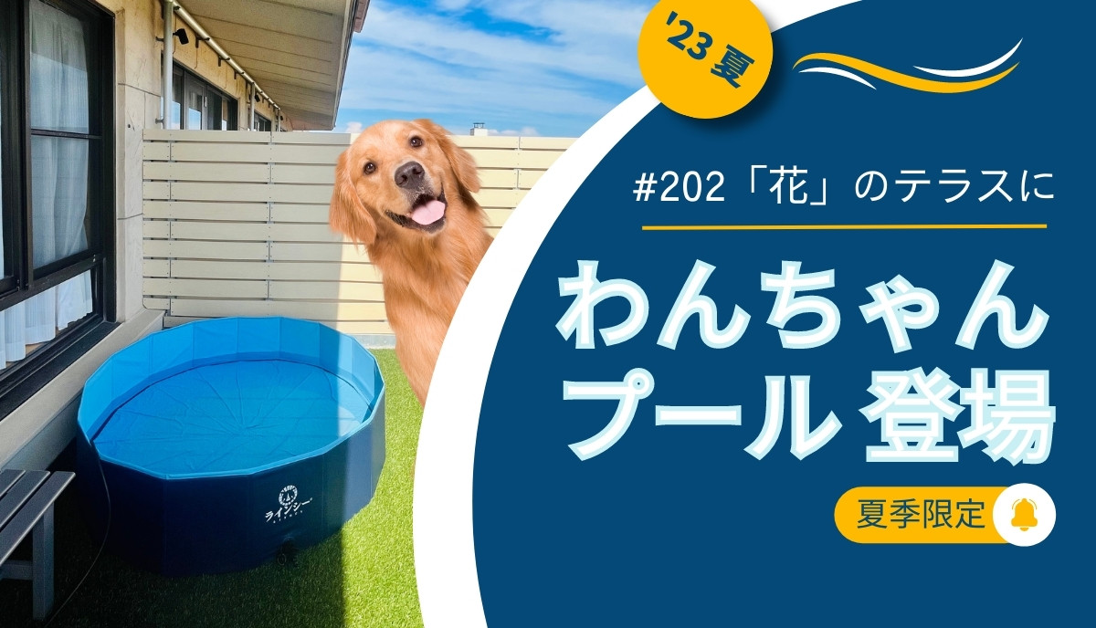 今年の夏の思い出に、テラスでわんちゃんと水遊び＠TOKIWAN#202